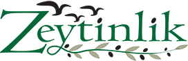Beylikdüzü Balık Restoranı | Zeytinlik Balık Restaurant
